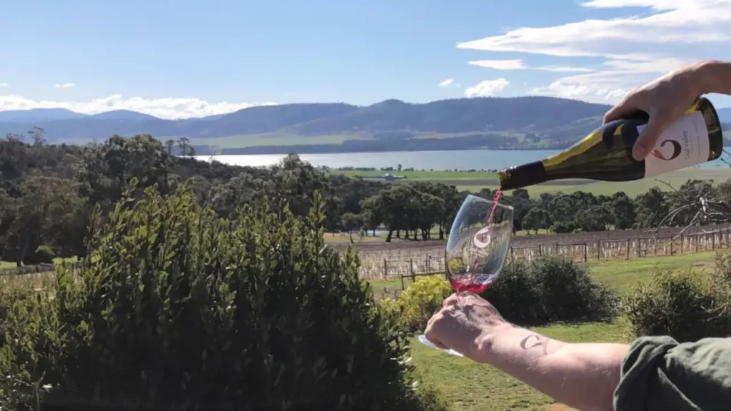 Coal Valley Vineyard-wine