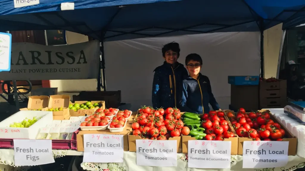 Fresh Flavour Farm