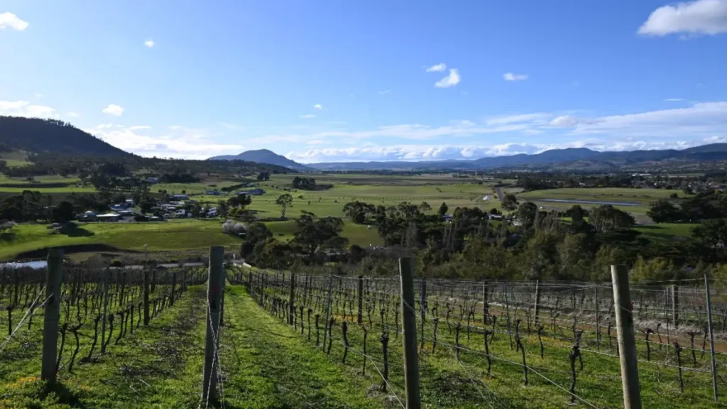 Pooley Wines winery