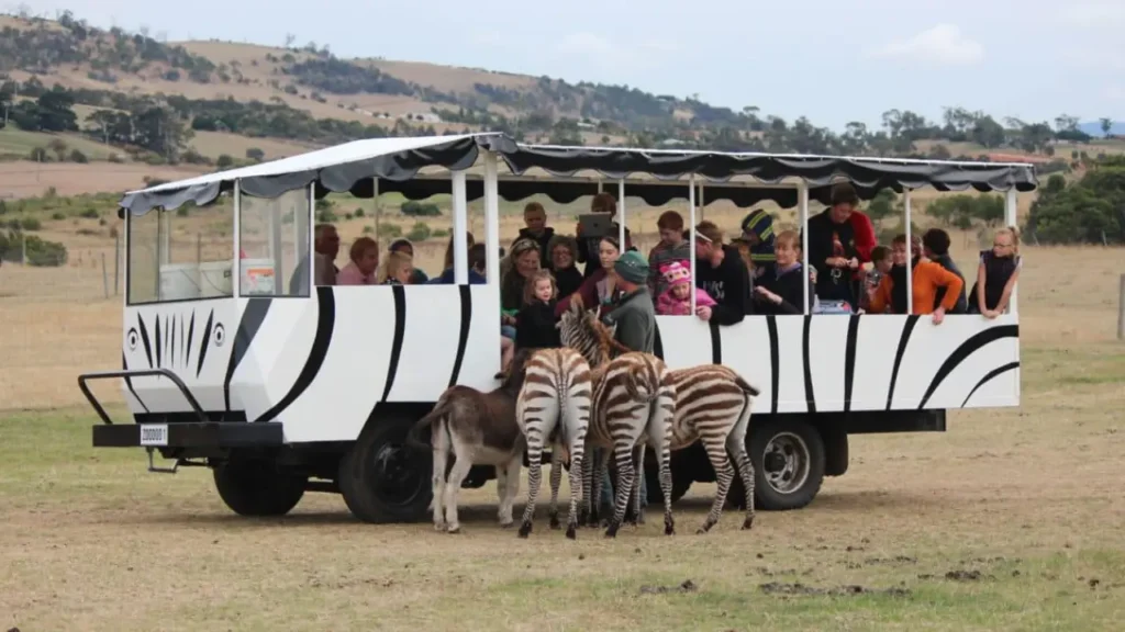 Zoodoo Wildlife Park Tour